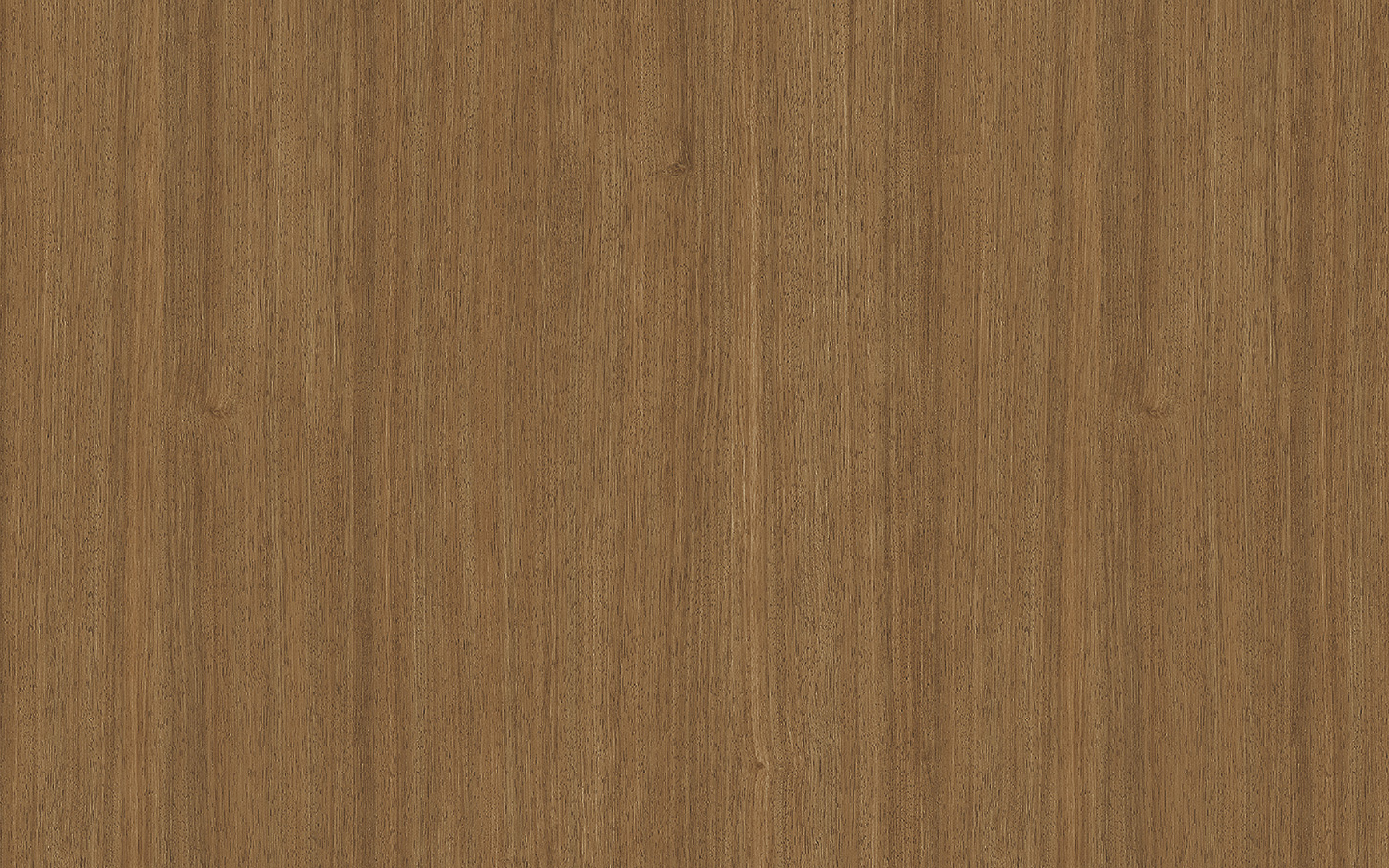 WP02NW060