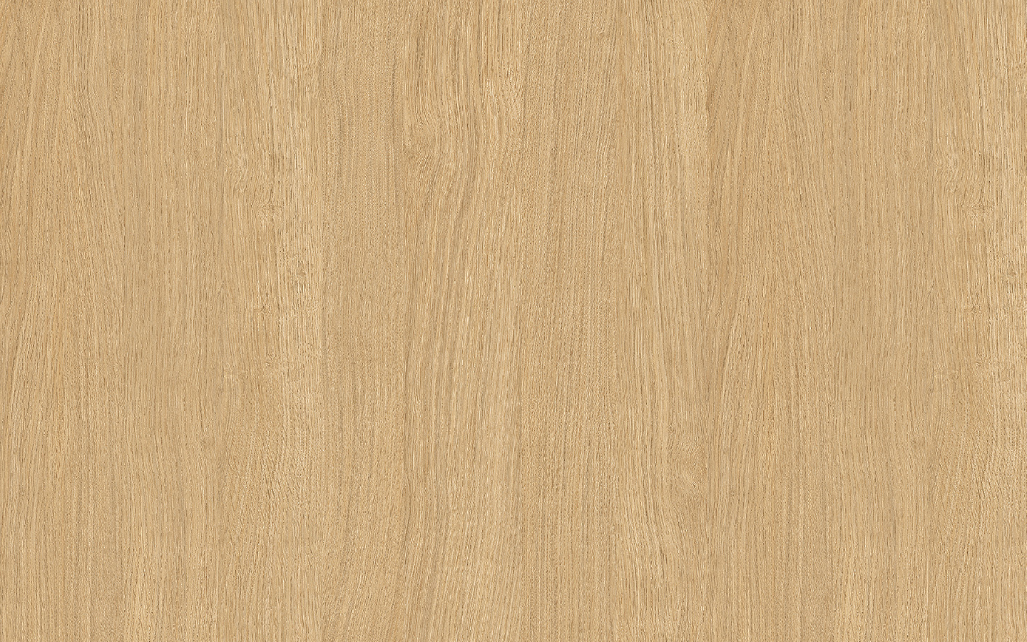 WP02CW557