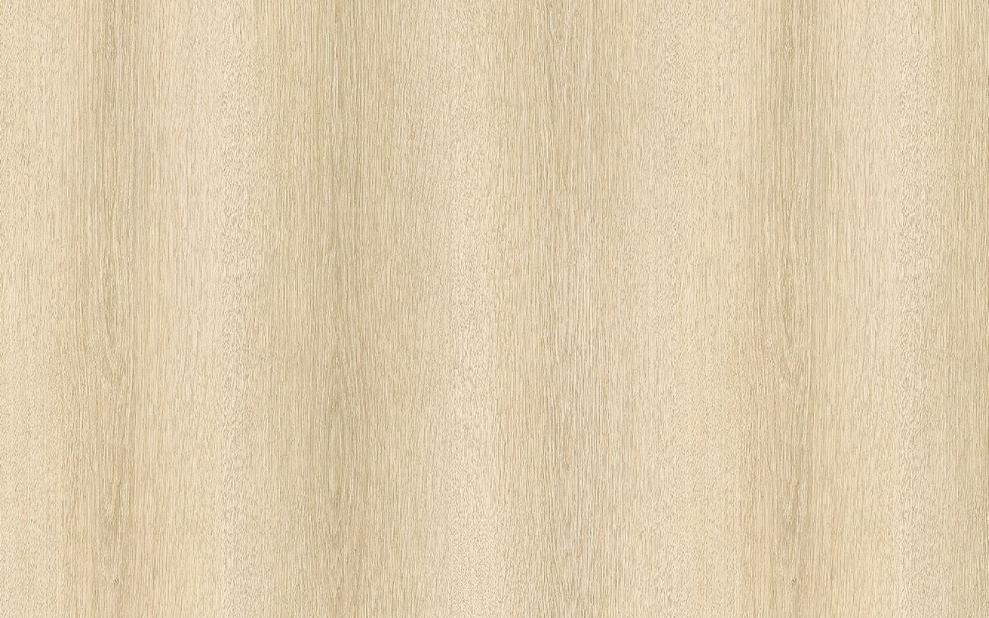 WP02CW606