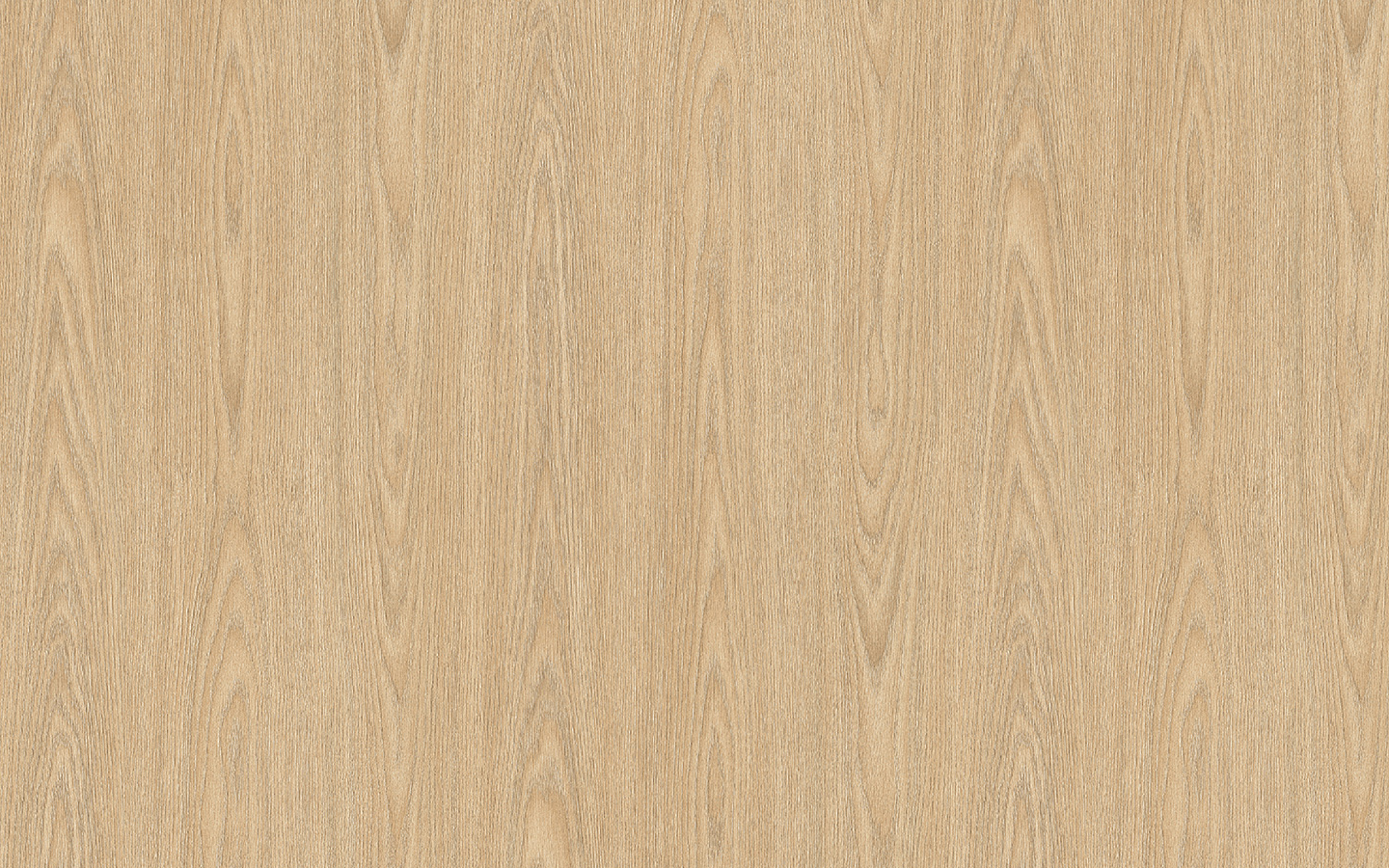 WP02CW615