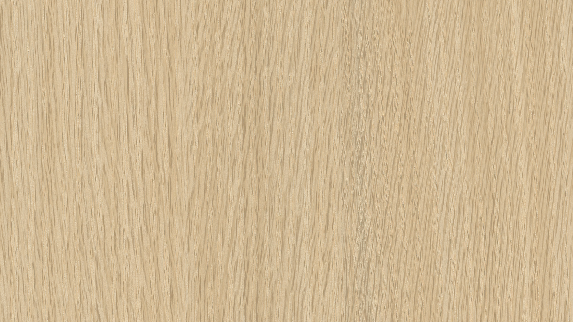 WP02BW024