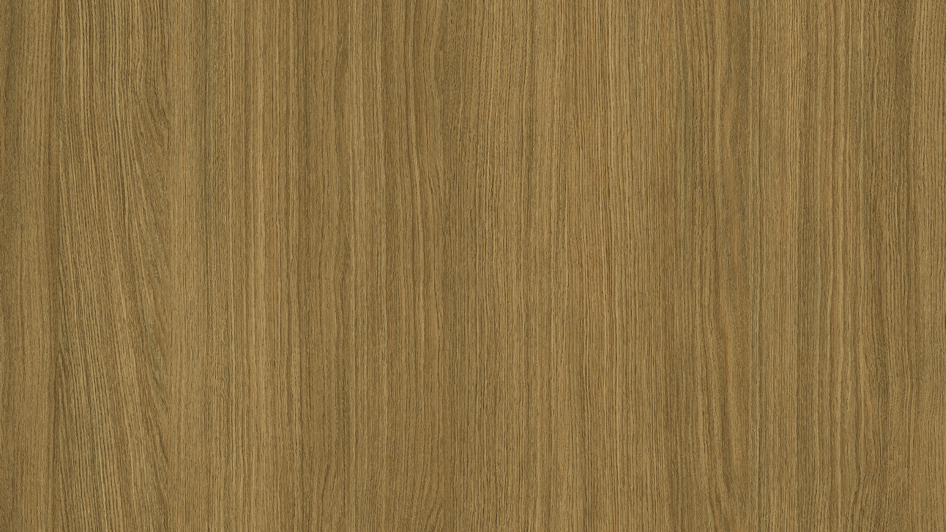 WP02PW146