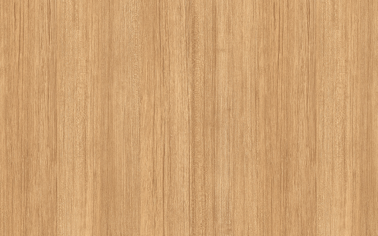 WP02DW179