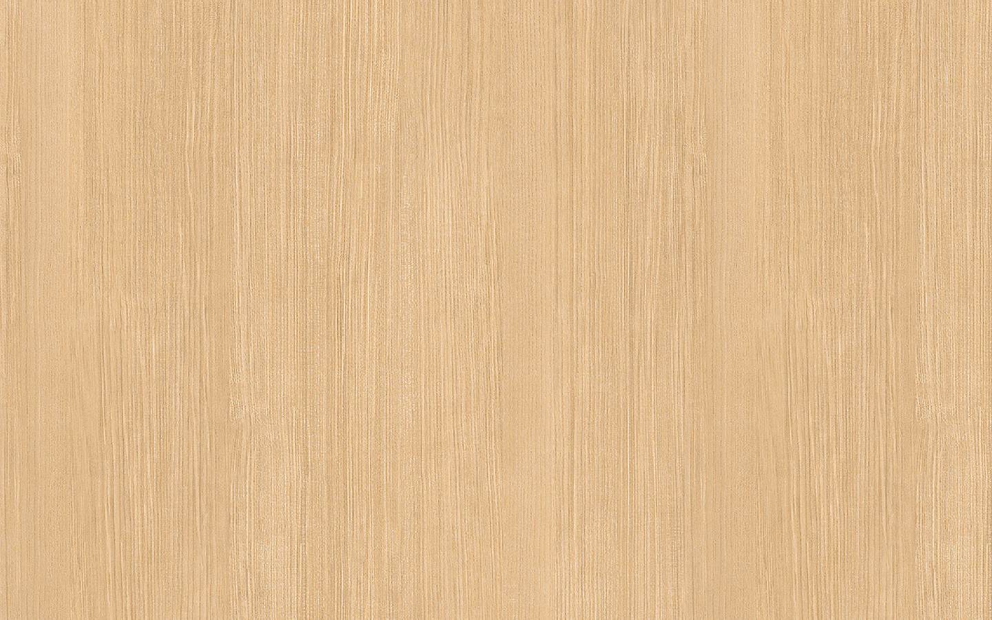 WP02CW531