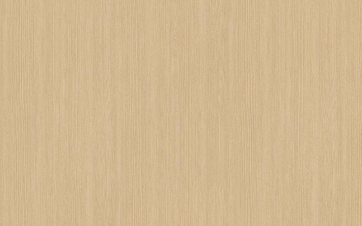 WP02CW509