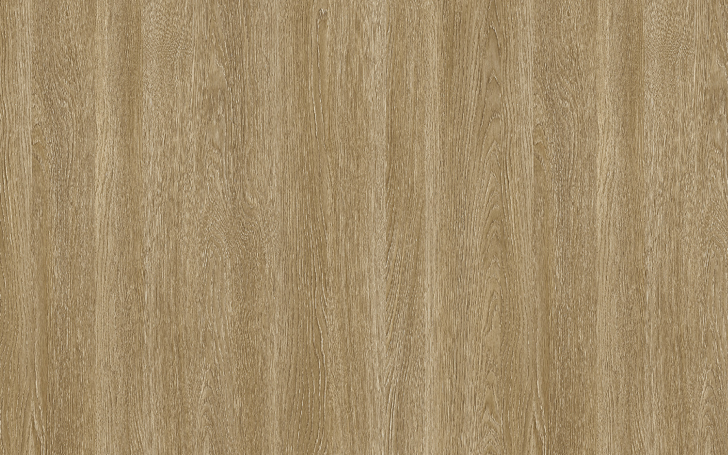 WP02NW086