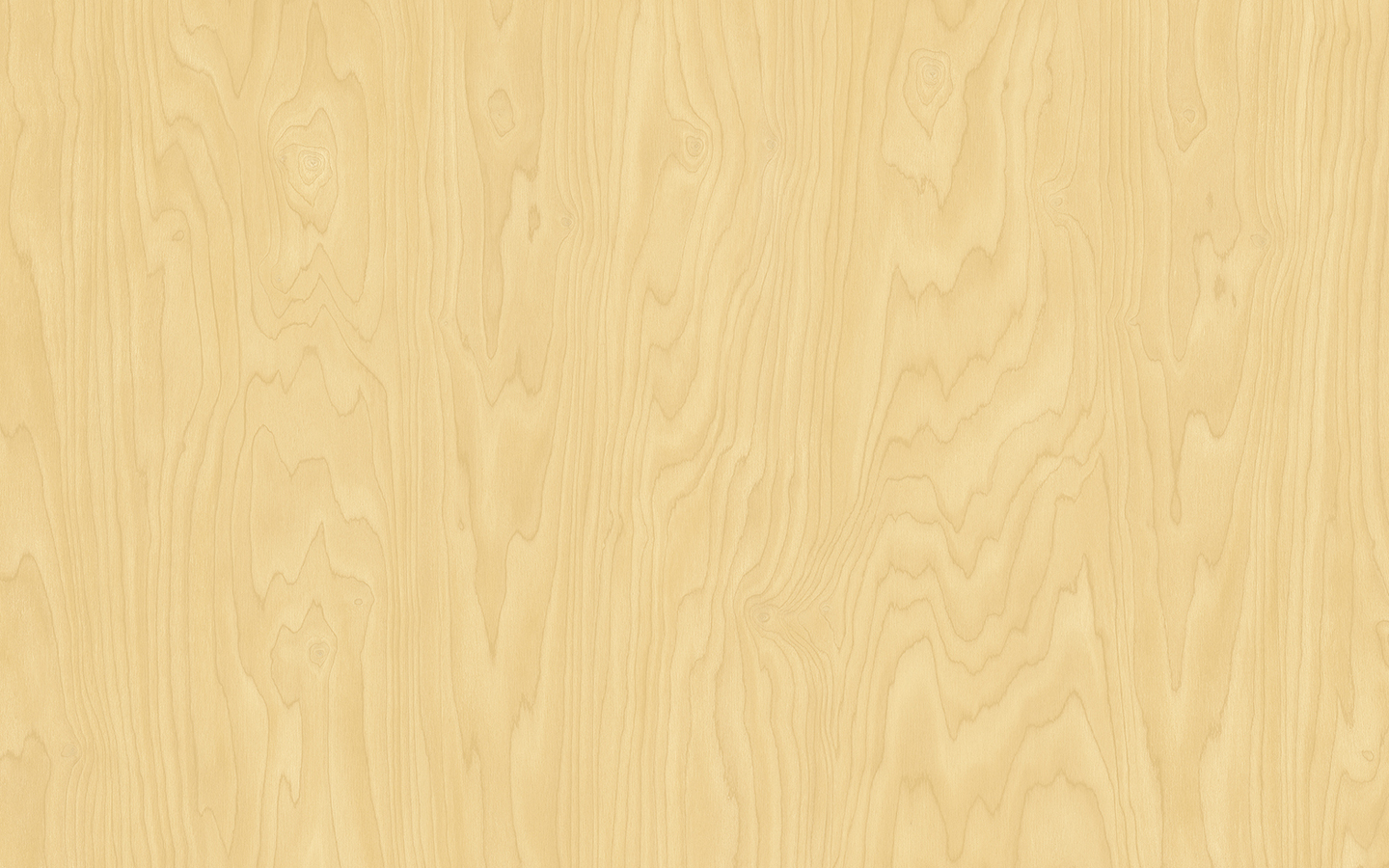 WP02CW590