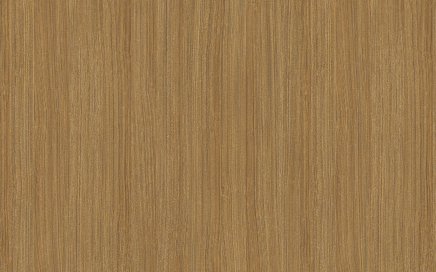WP02CW554