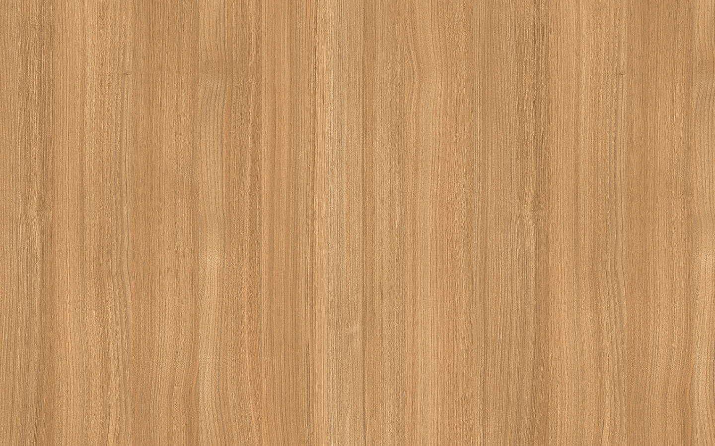 WP02CW455