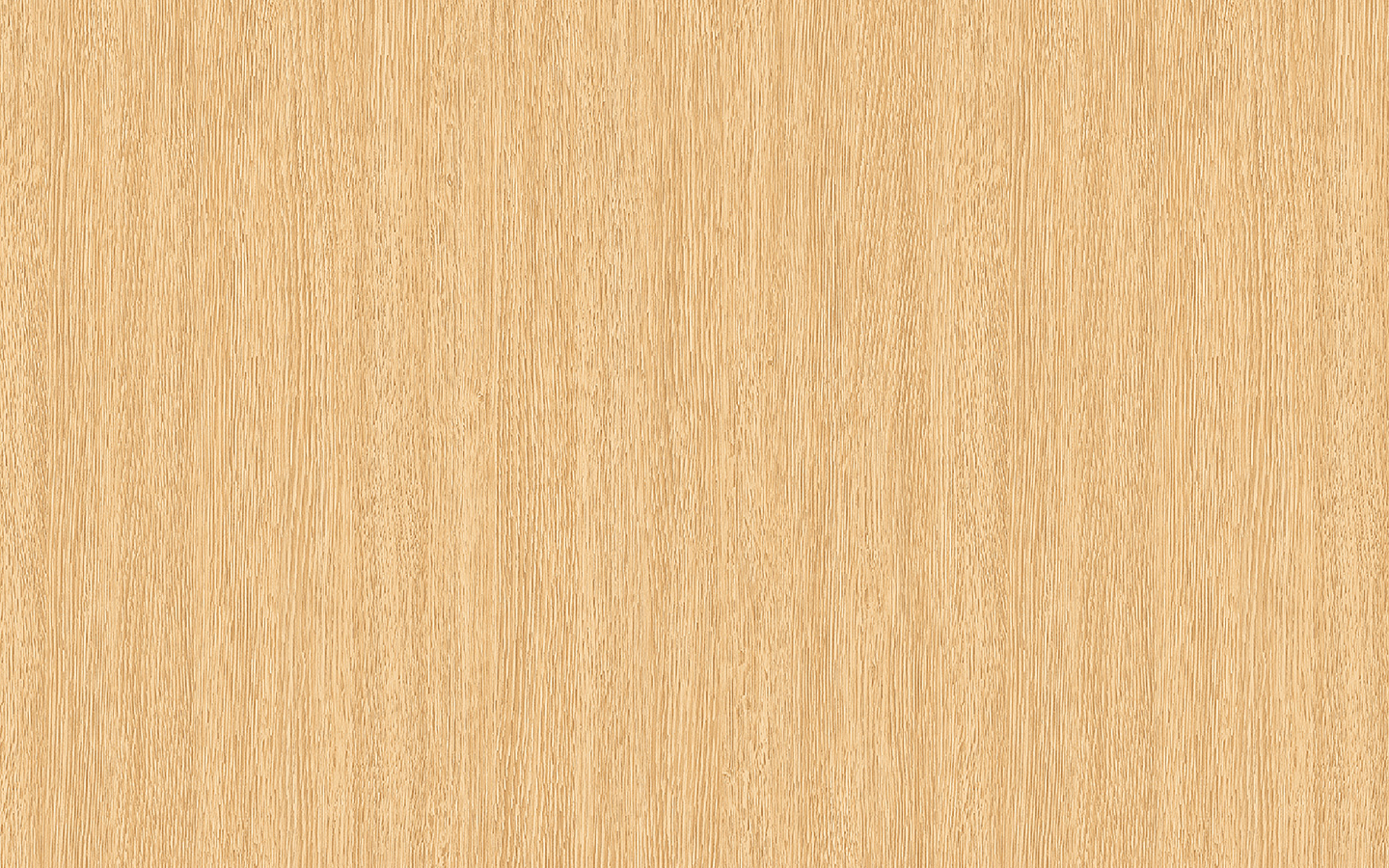 WP02CW598