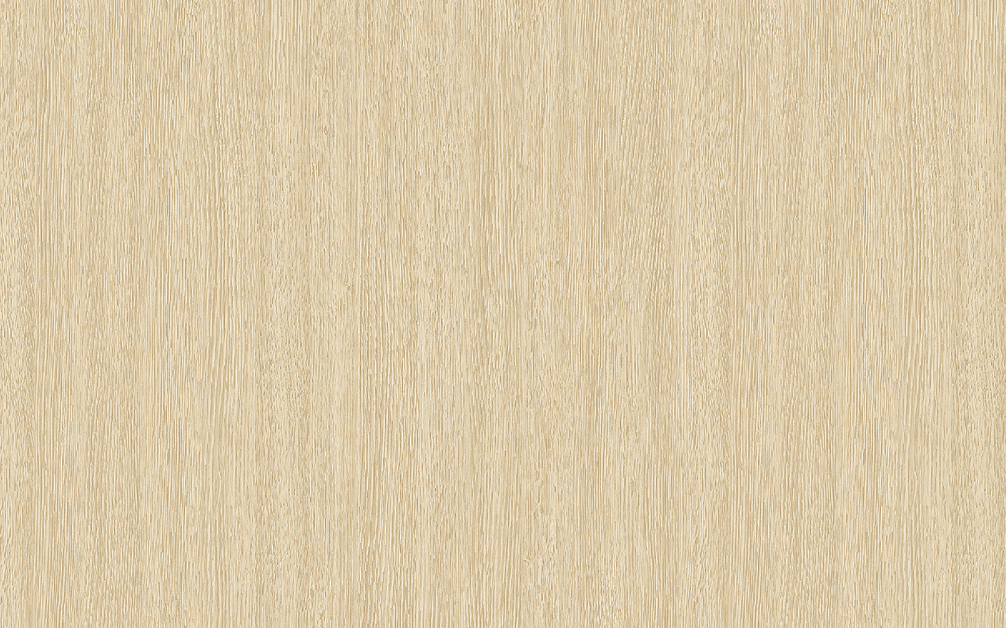 WP02CW597