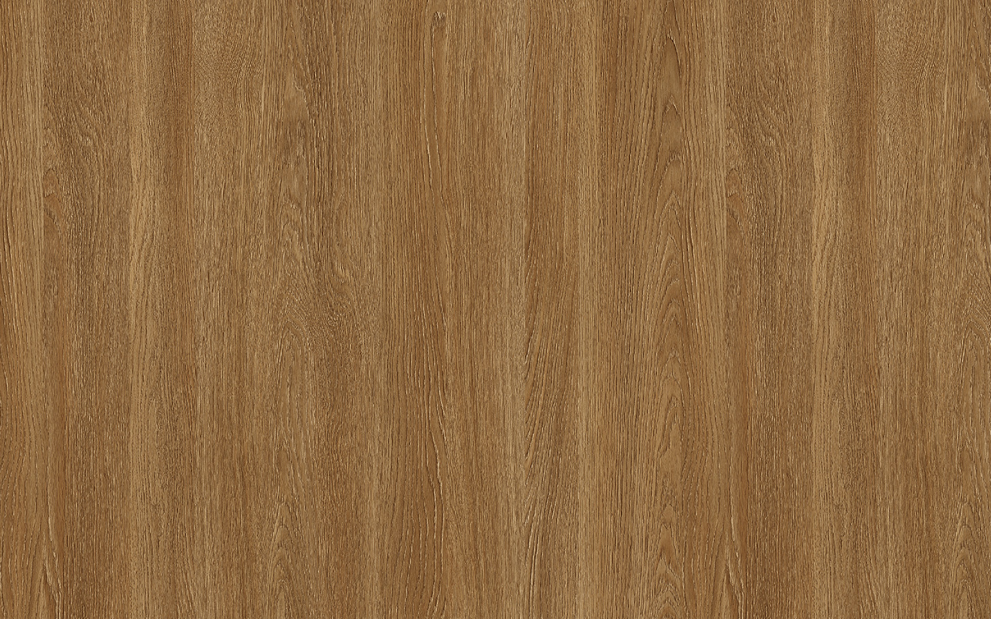 WP02NW087