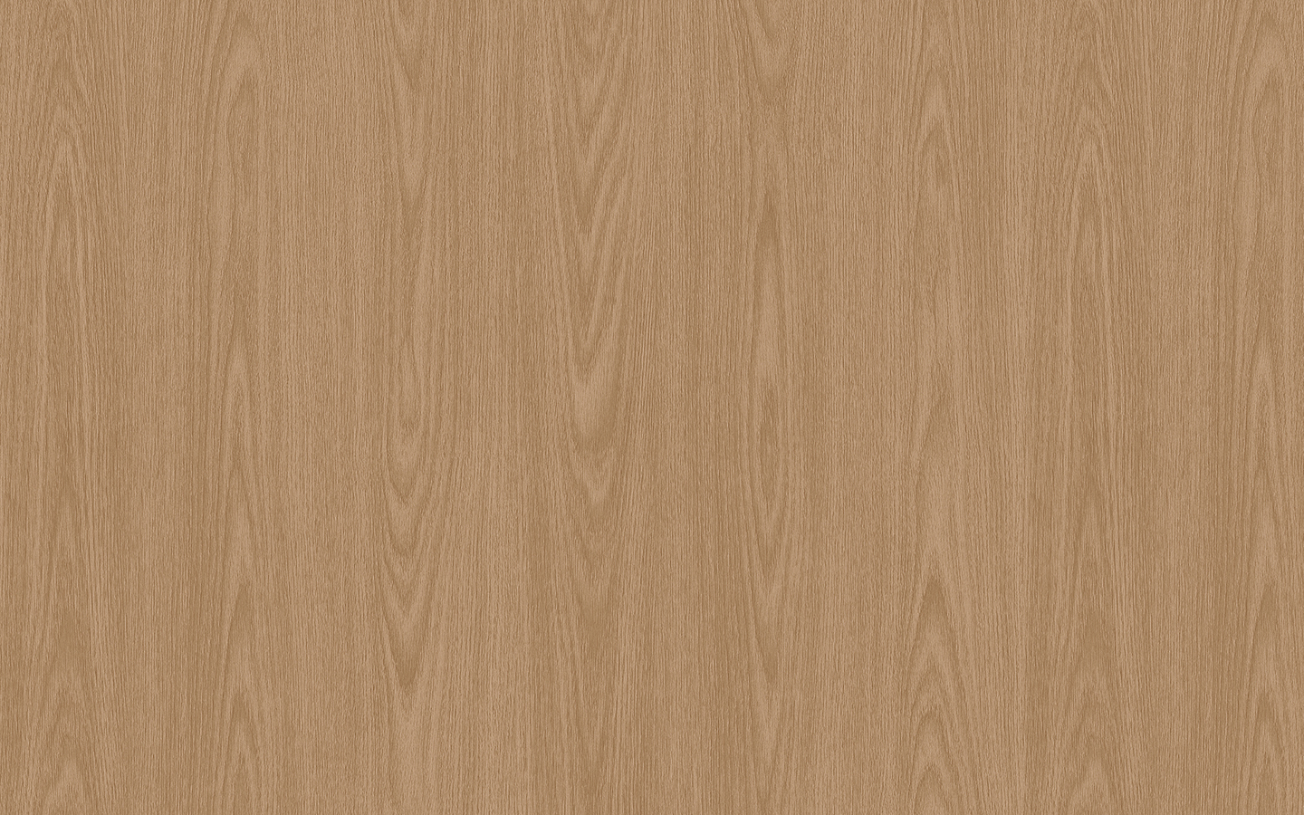 WP02DW641