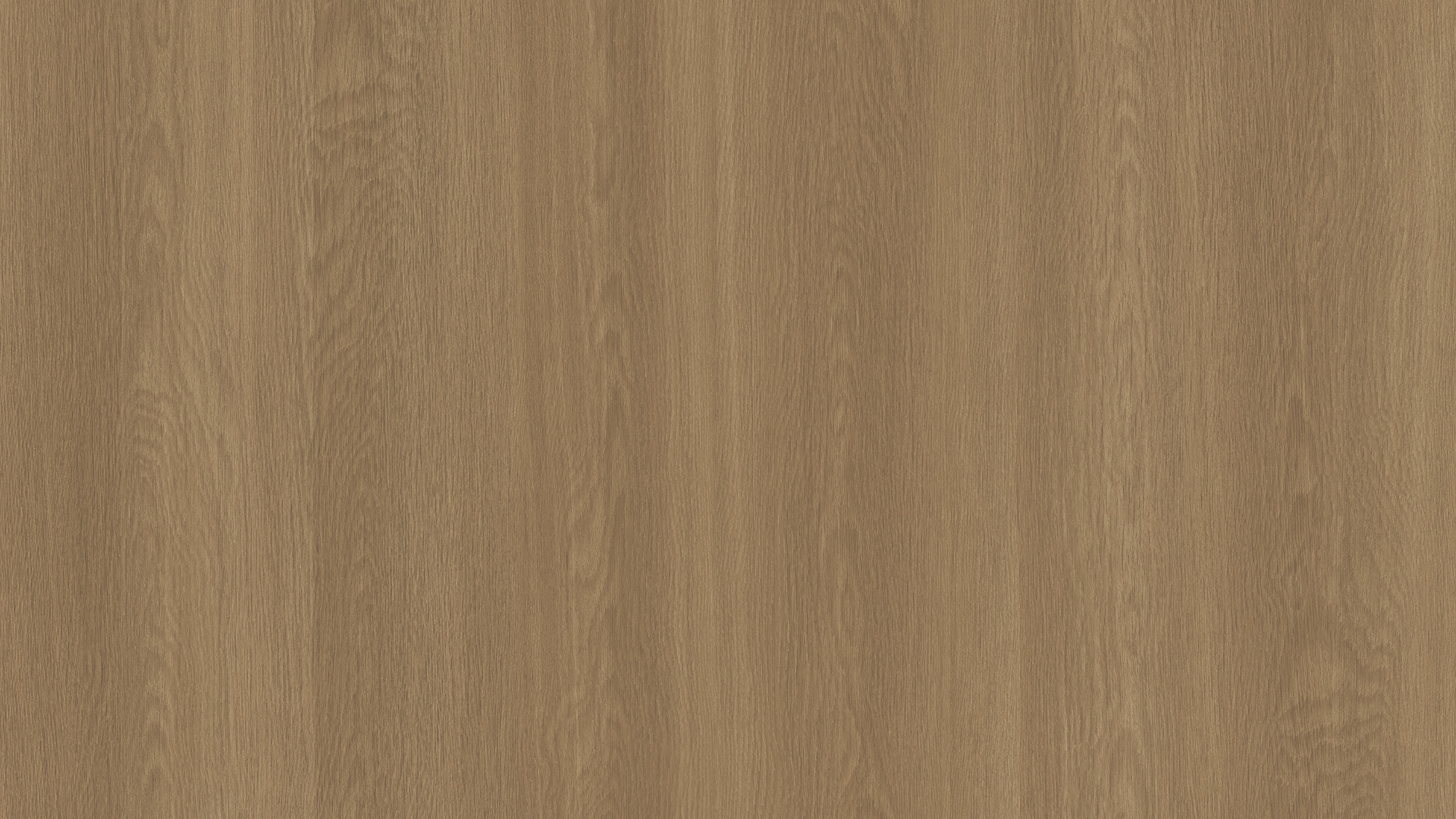WP02TW008