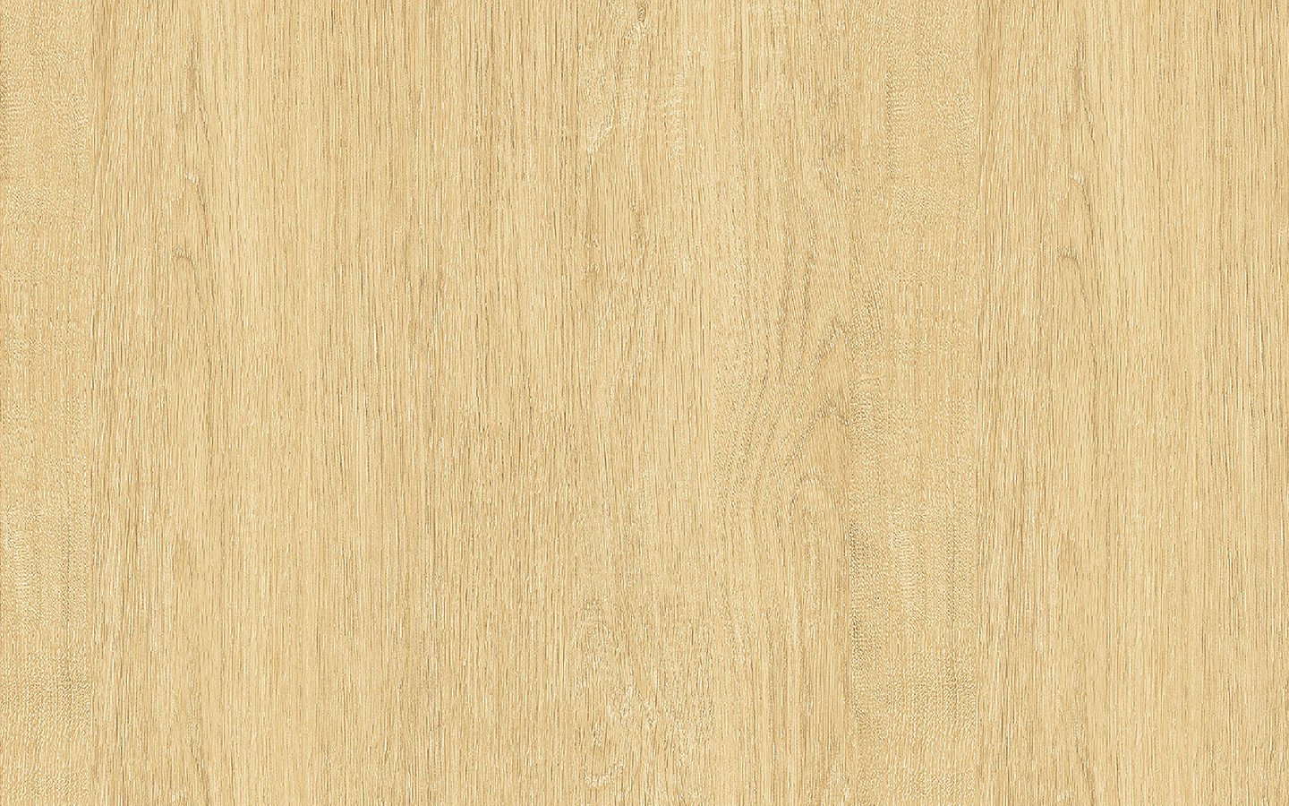 WP02NW041