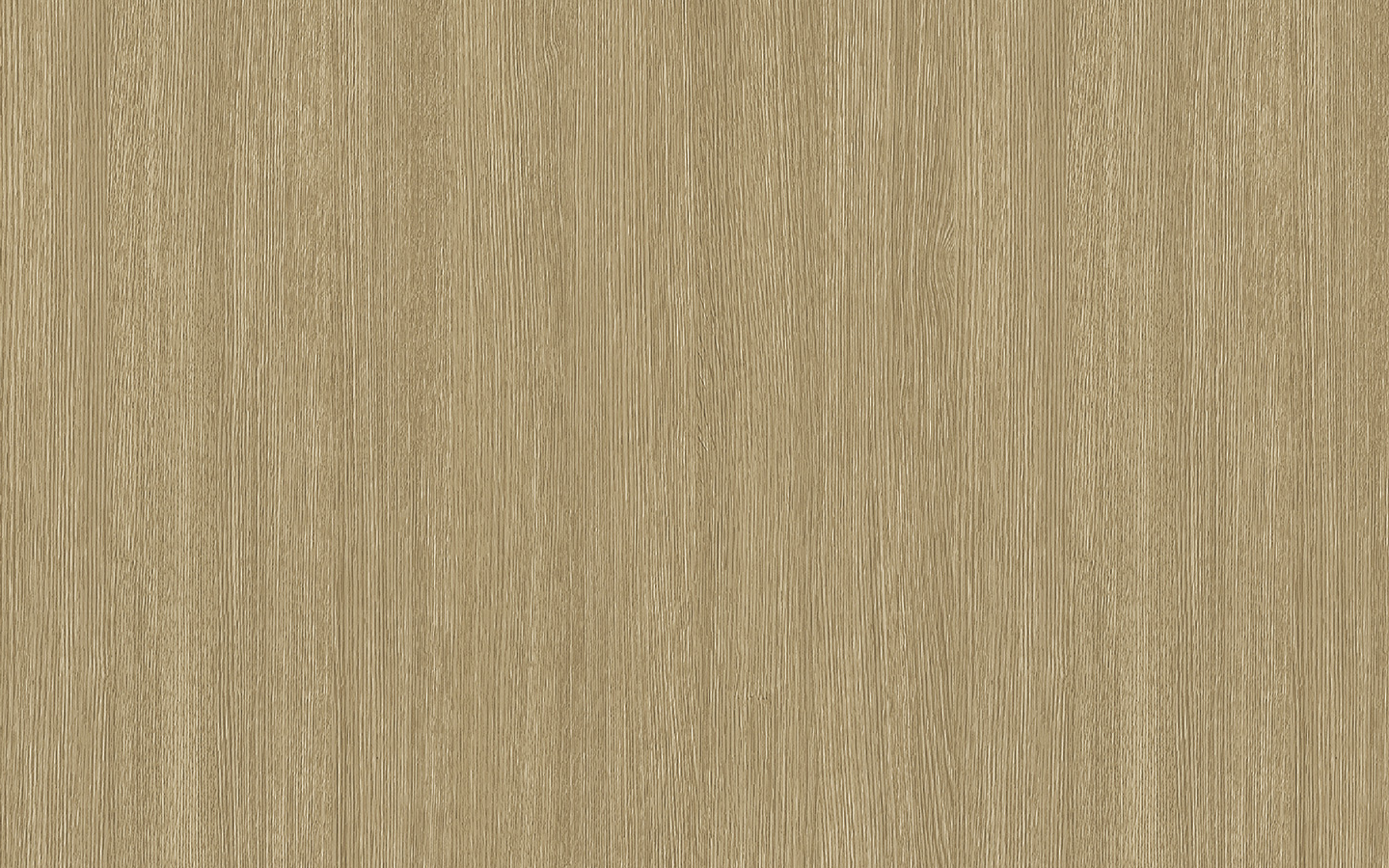 WP02CWPF3