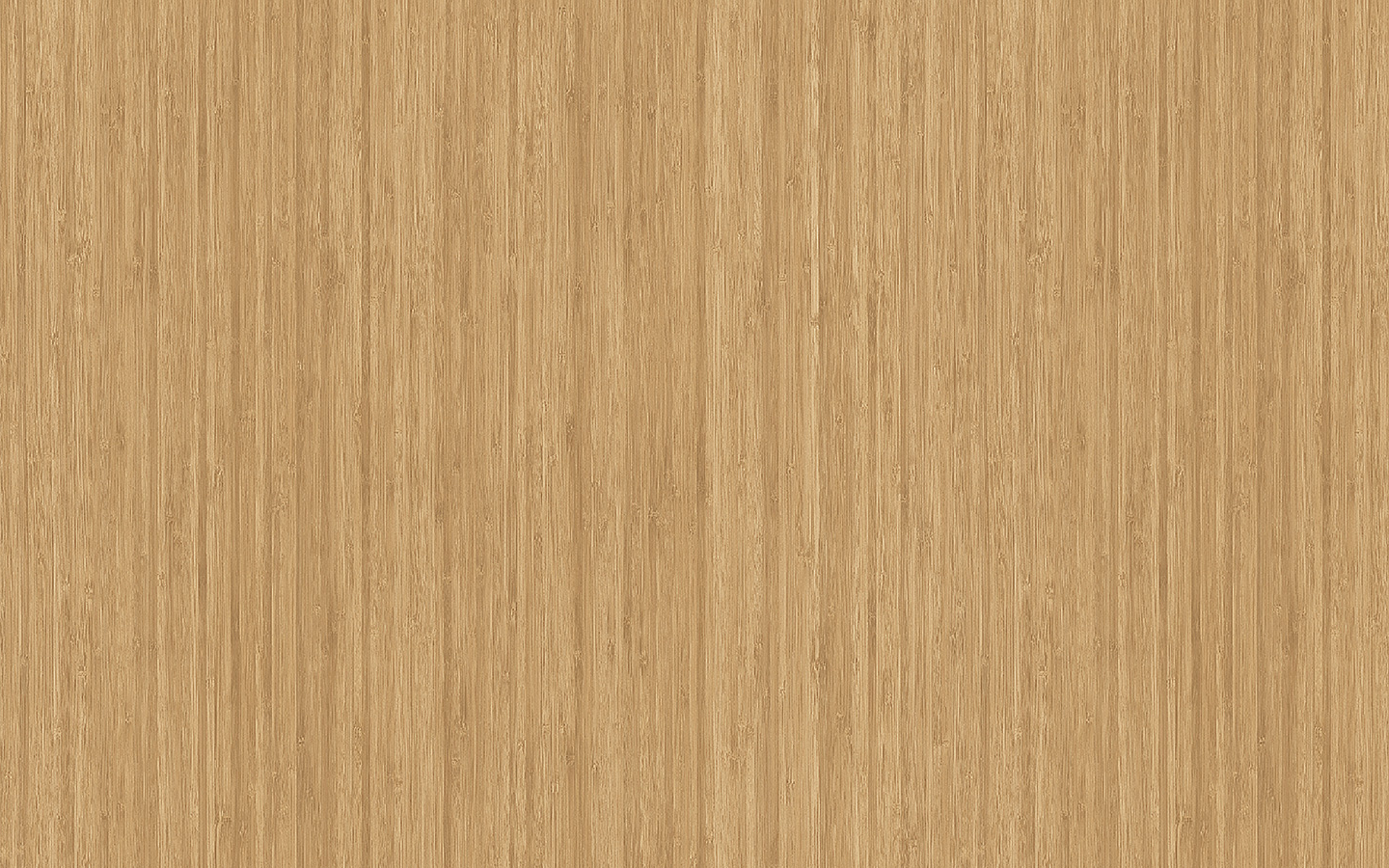 WP02CW441