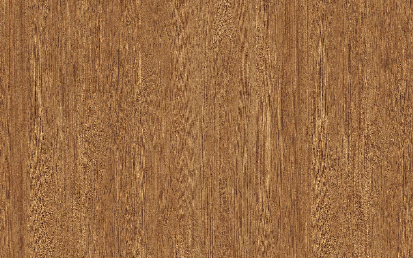 WP02NW045