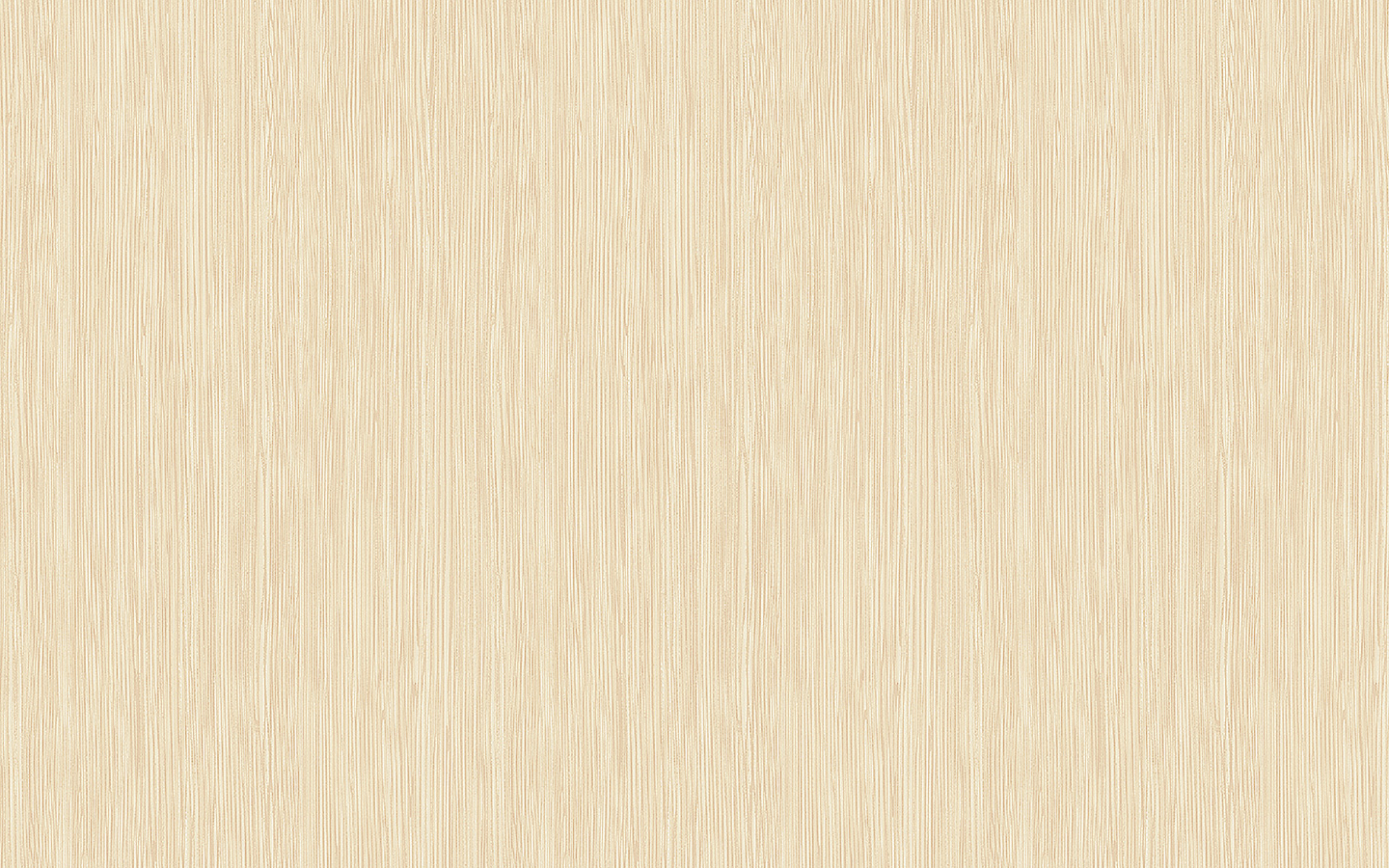 WP02CW424