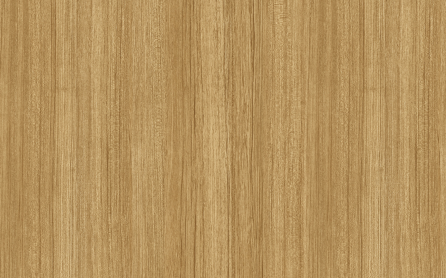 WP02NW088