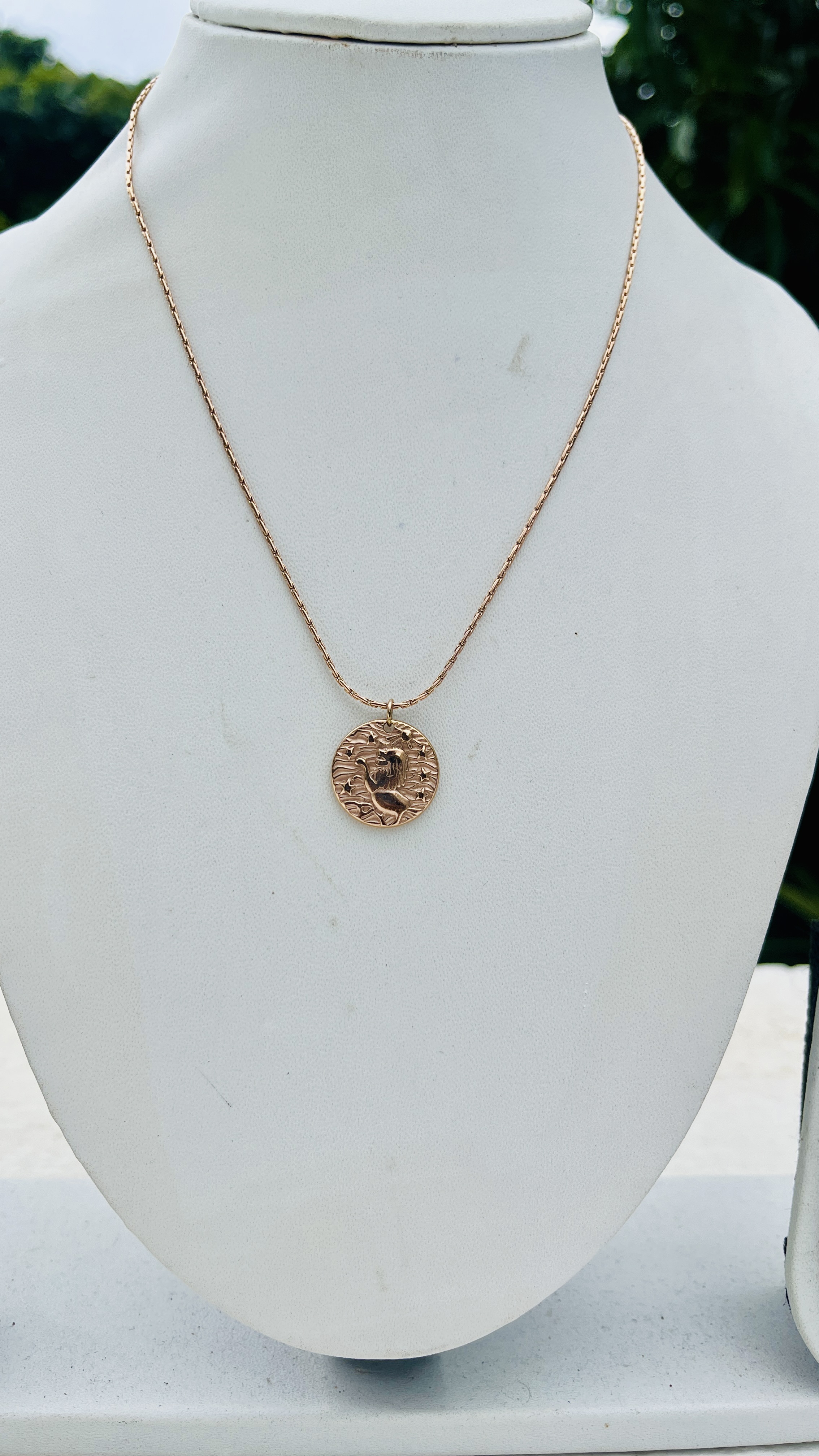 Stainless Steel coin chain