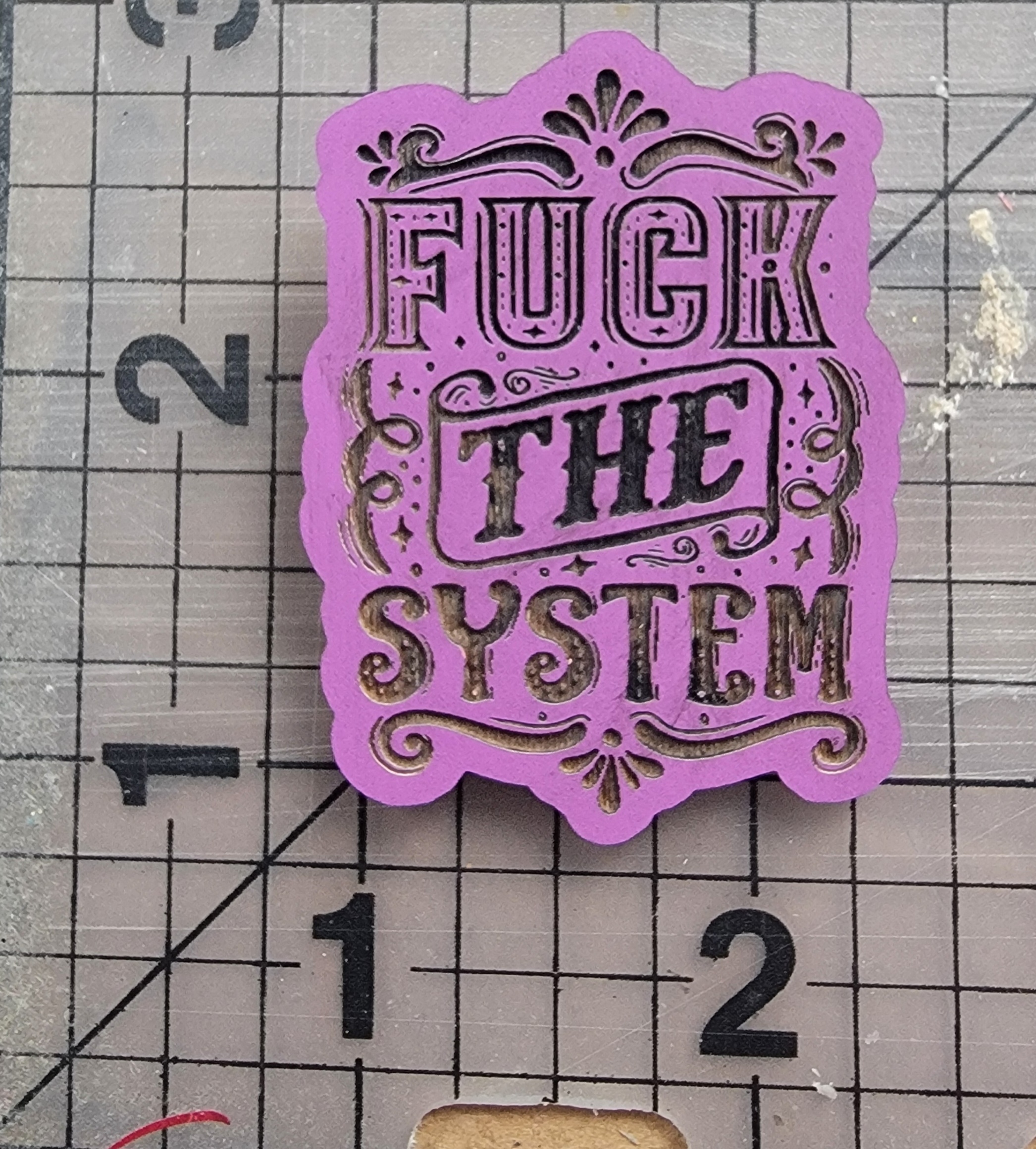 Engraved 'F*ck The System' Wooden Pin