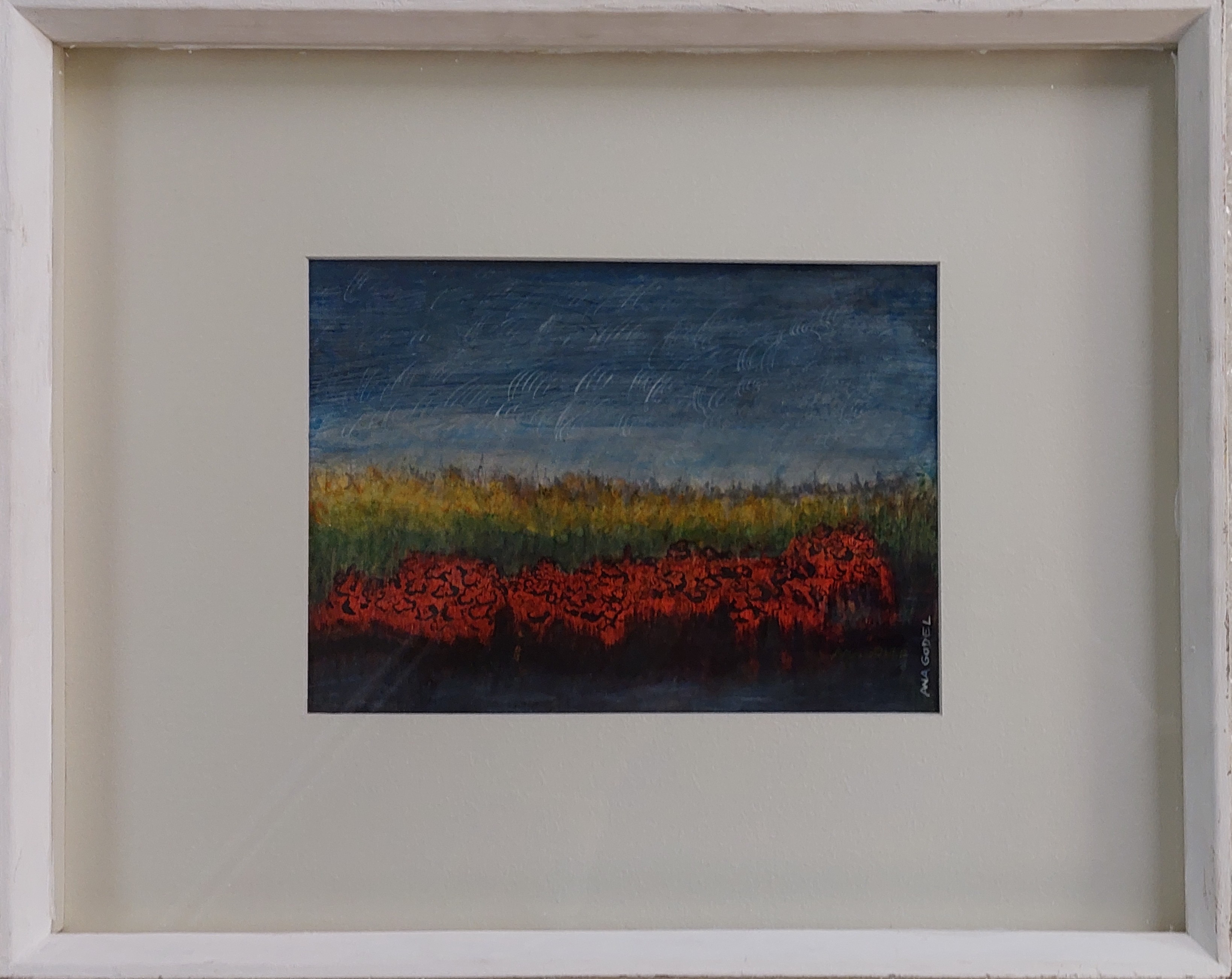 Flores rojas - Serie Revelación del paisaje
