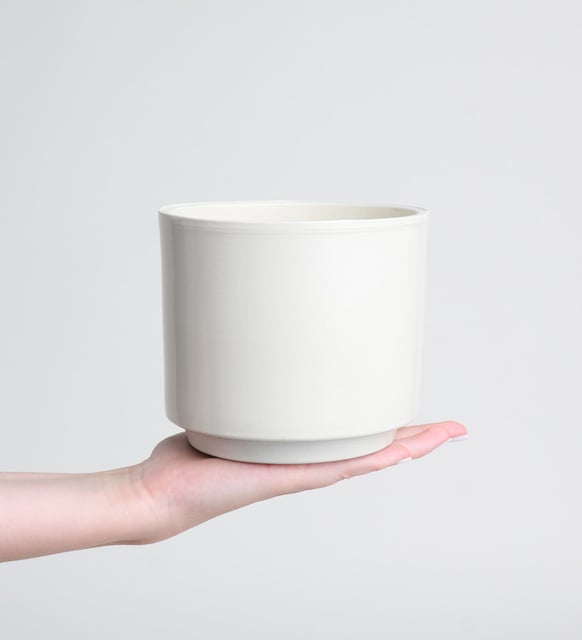 Siyah Buket Kağıtlı Beyaz Polimer Saksıda Ponsetya