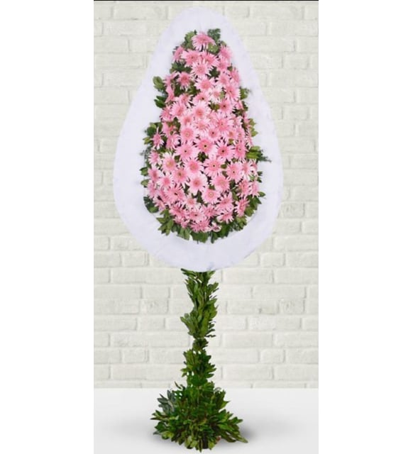 Pembe Ayaklı Çelenk