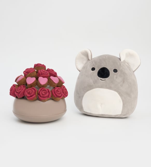 Saksıda Kırmızı Gül, Kalp Kekler ve Koala Yastık