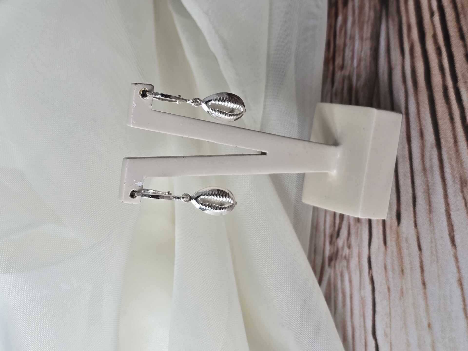 BRI3712S - Brinco Prata Semijoia