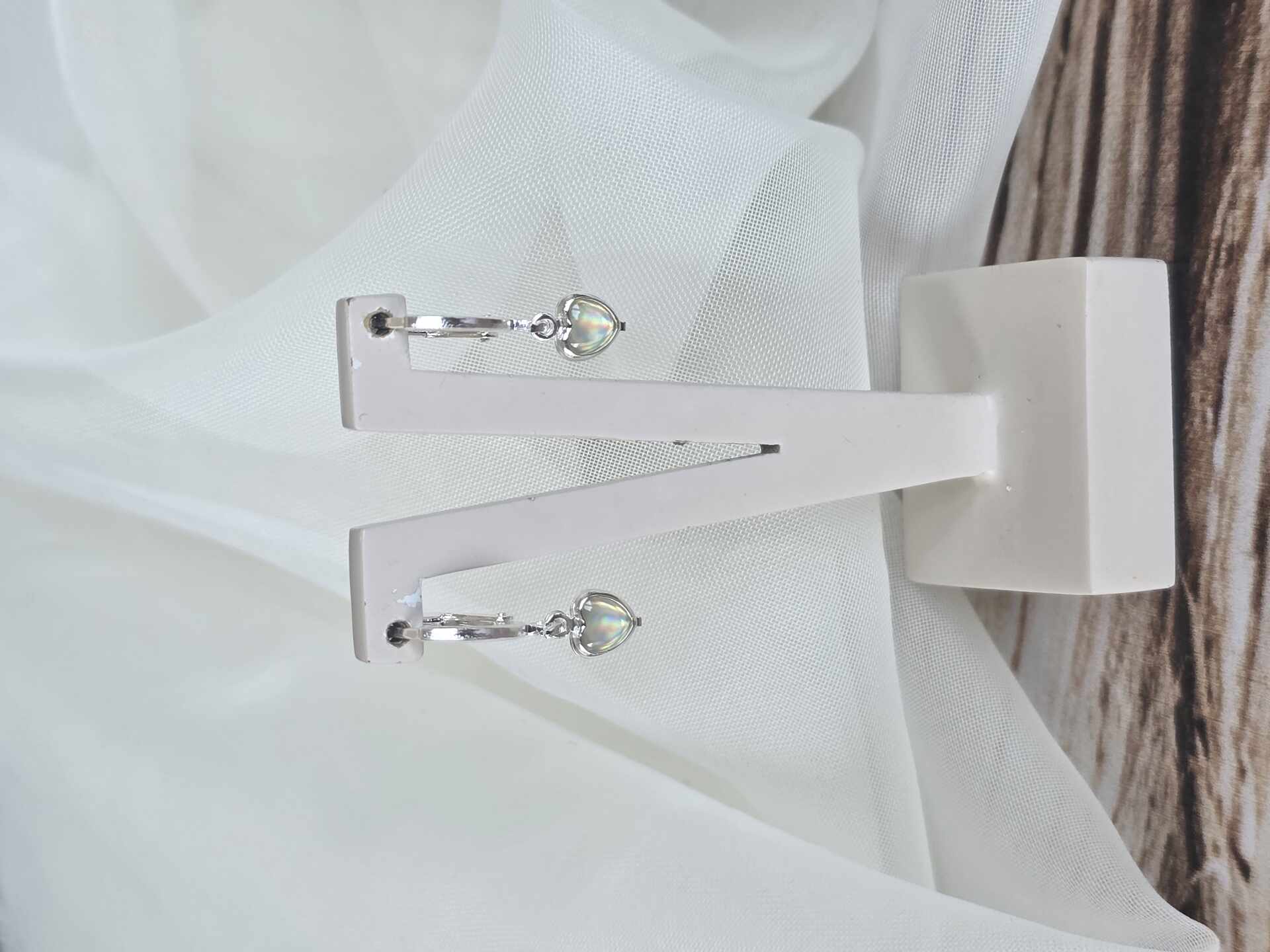 BRI3198S - Brinco Prata Furtacor