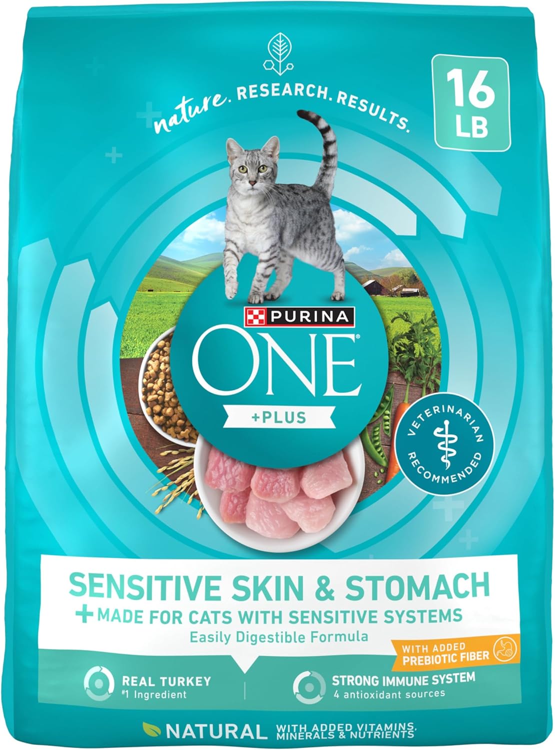 Purina ONE Plus Sensitive Skin & Stomach Cat Food, 16 LB