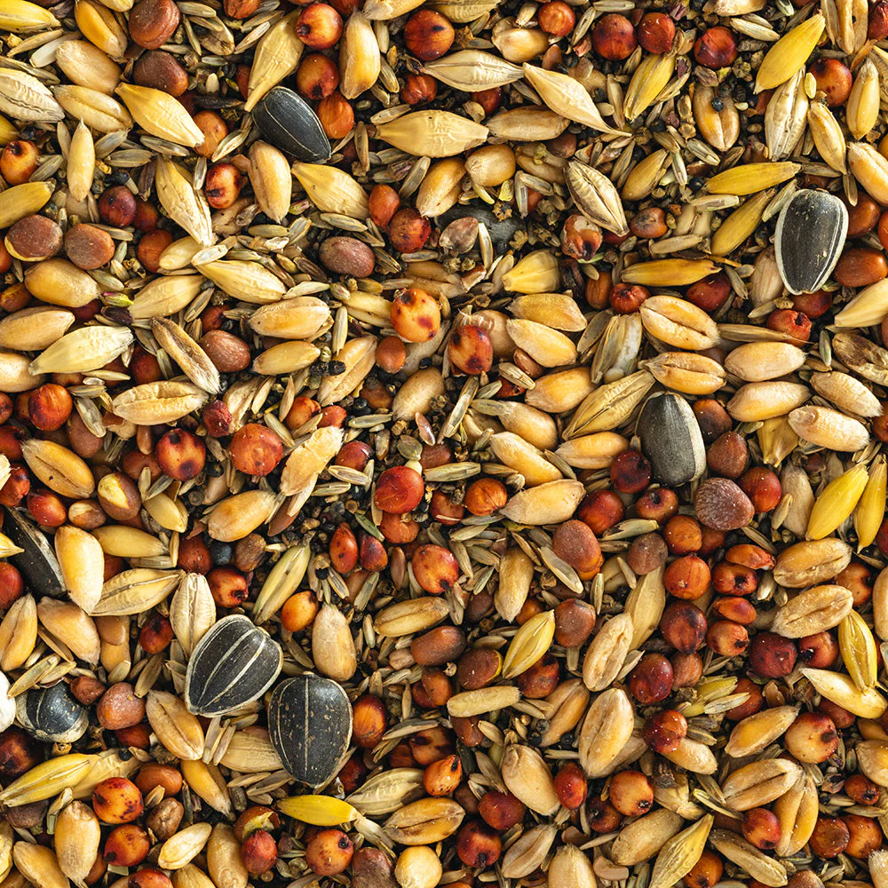 Premium Wild Bird Seed Blend 1KG