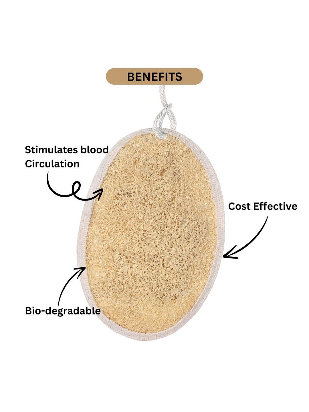Sun dried Loofah 