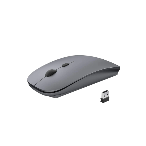 Wireless Optical Mouse