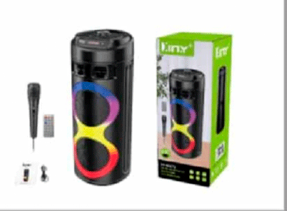 Parlante Torre Profesional Xiny XY-S6572