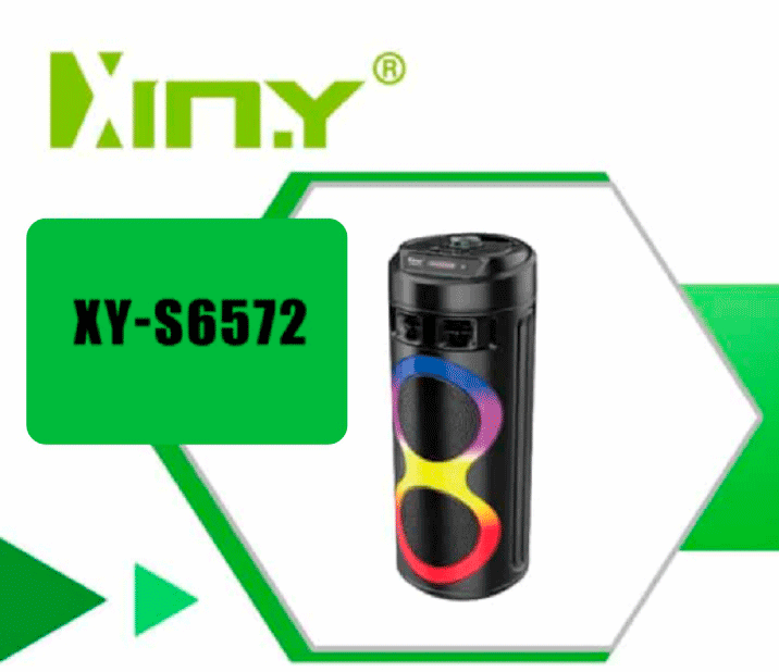 Parlante Torre Profesional Xiny XY-S6572