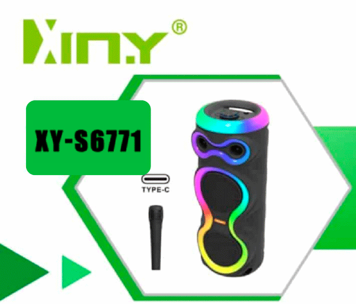 Parlante Torre Profesional Xiny XY-S6771