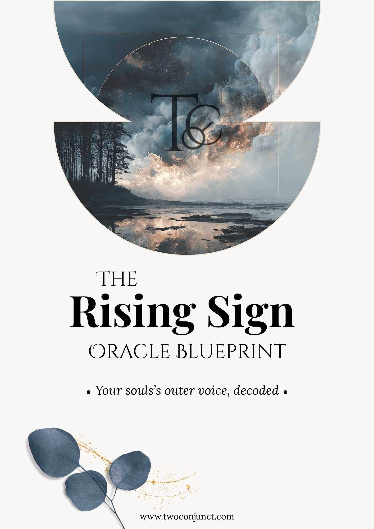 TAURUS Rising Blueprint