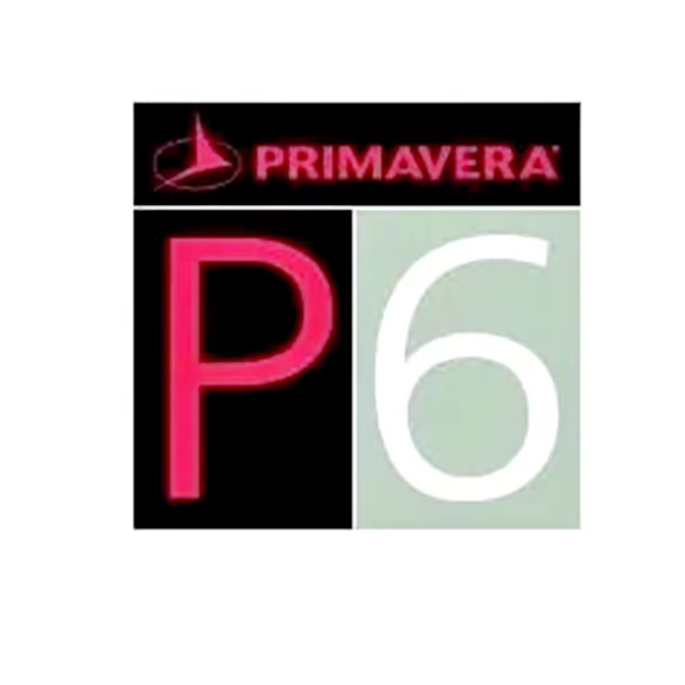 P6 Lifetime One Drive Send Download Link Stand-alone Engineering Project Management Software Orac Primavera P6- For win only 