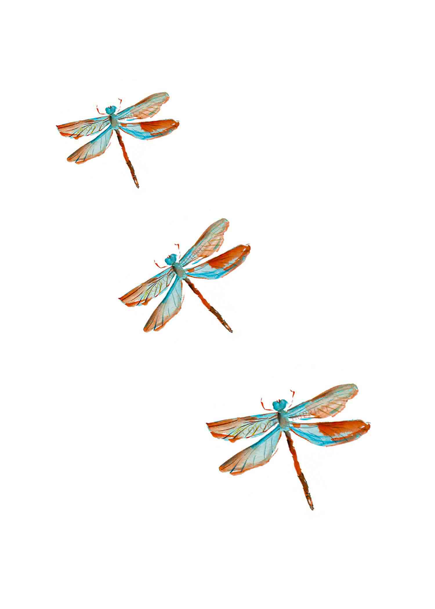 Prismatic Dragonflies | Hand-Painted Watercolor
