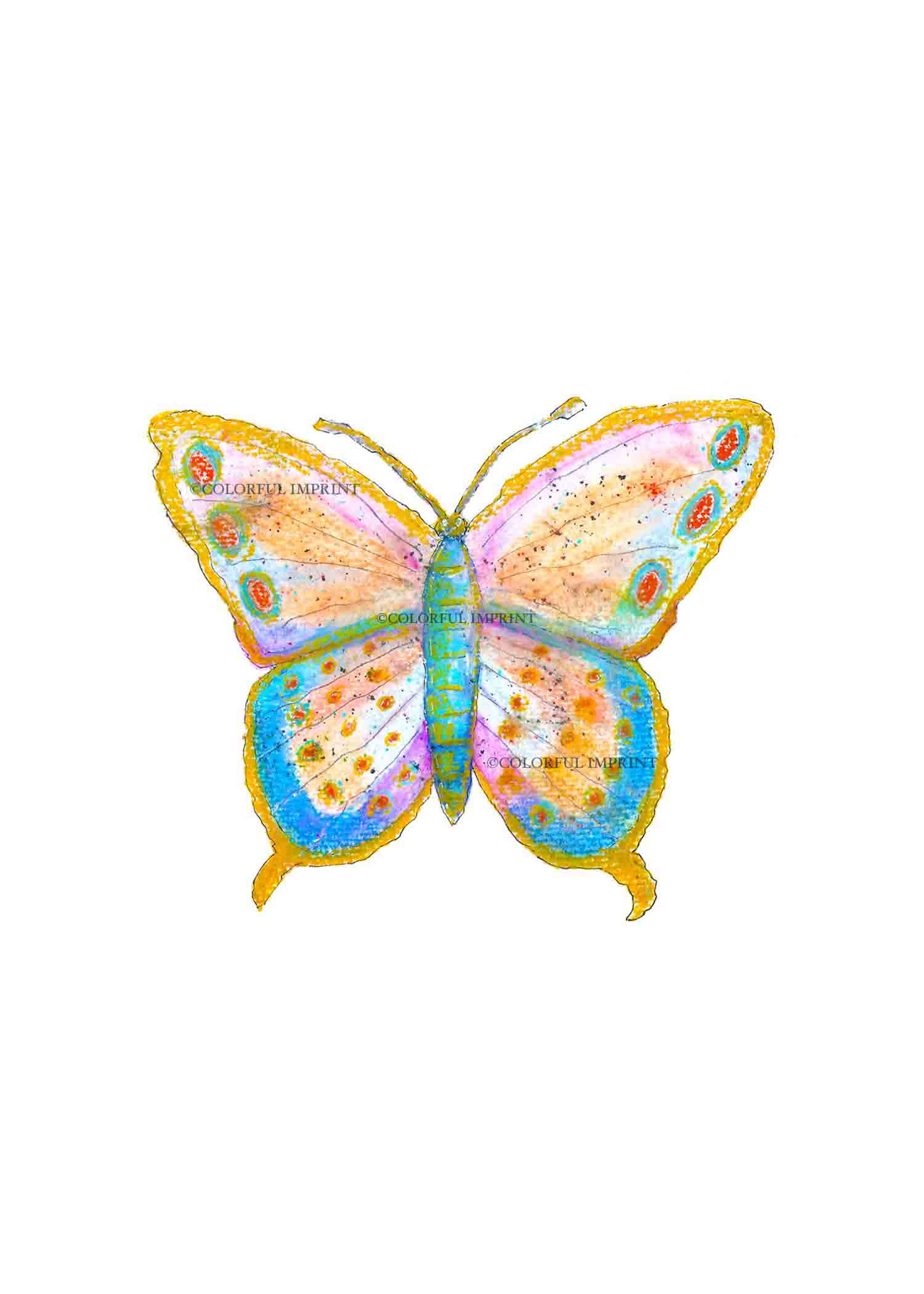 Colorful Butterfly | Hand-Painted Watercolor