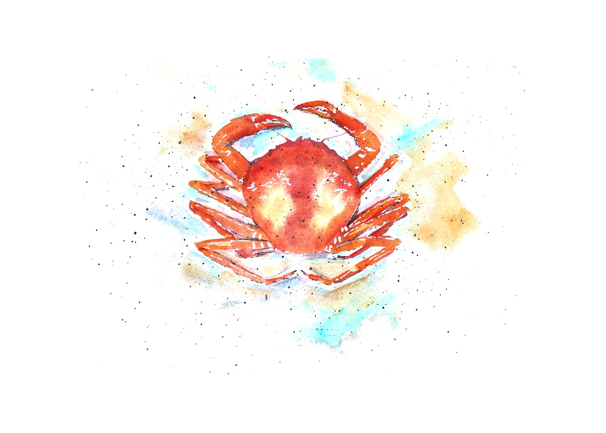 Watercolor Crab on Beach