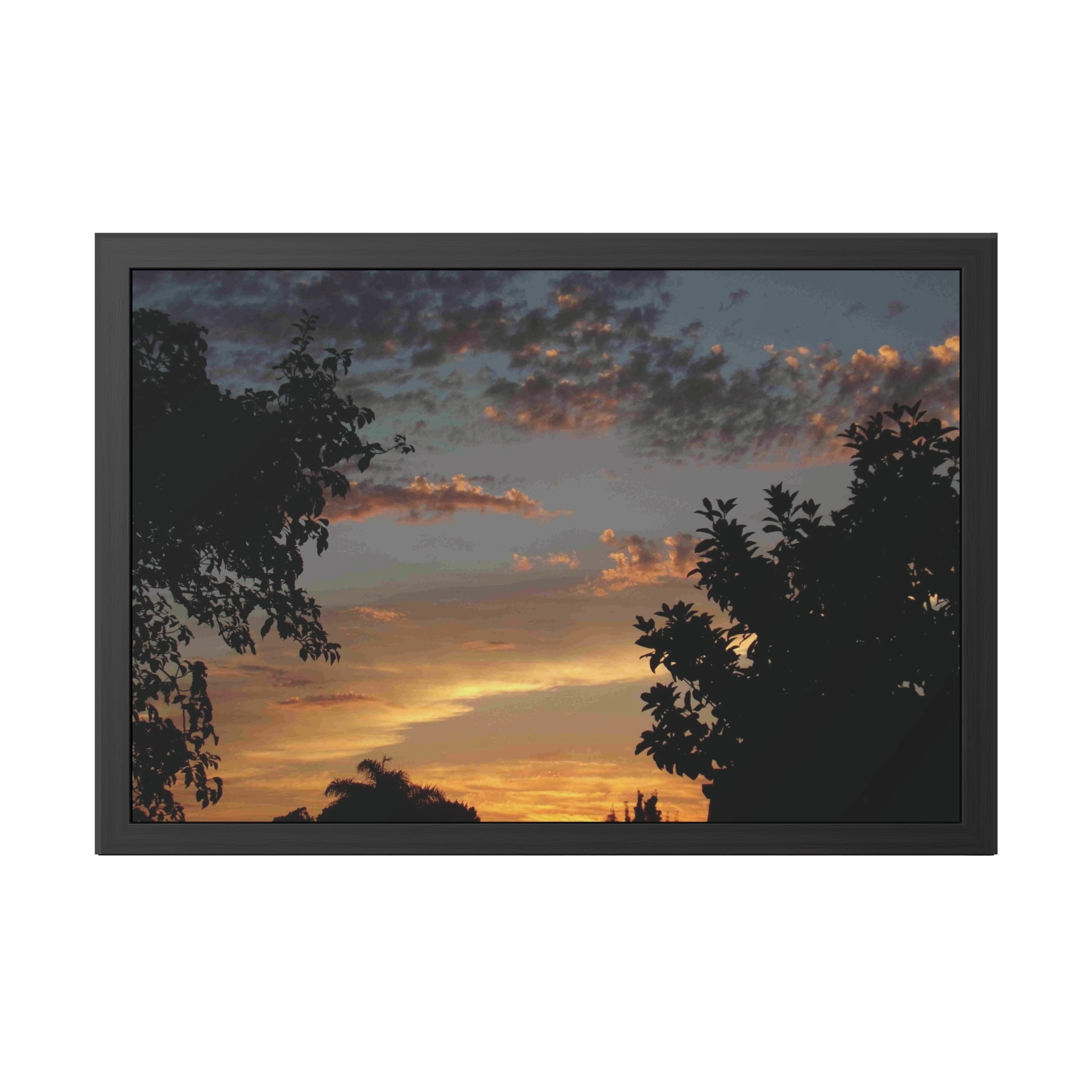 Fraternal Clouds Beyond the Trees