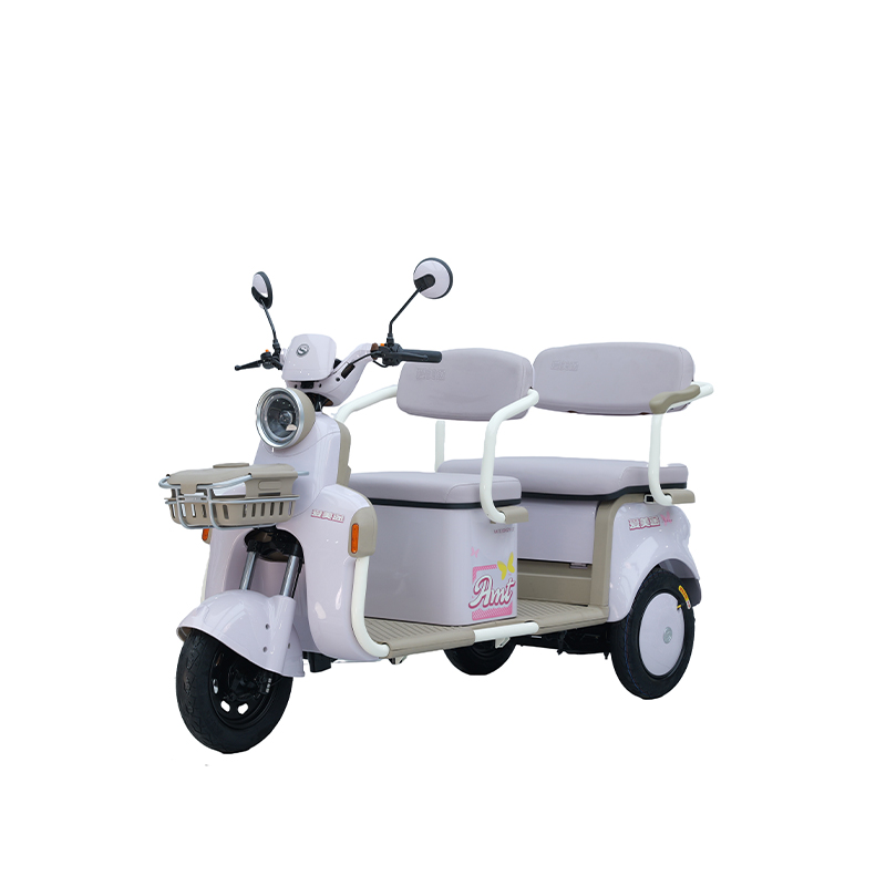 Electric Three-Wheel Scooter