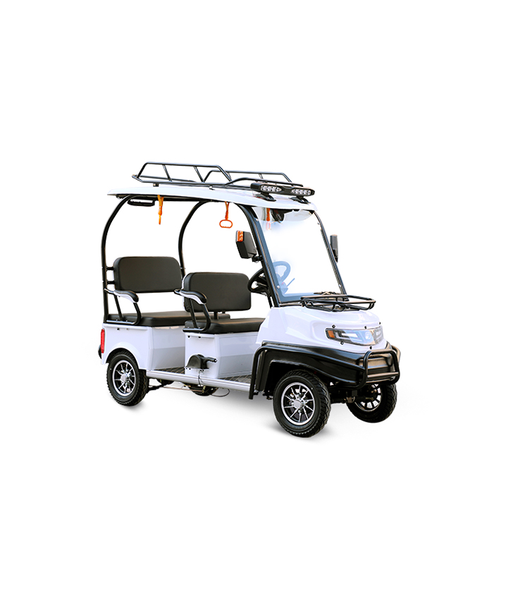 Electric Utility Golf Cart