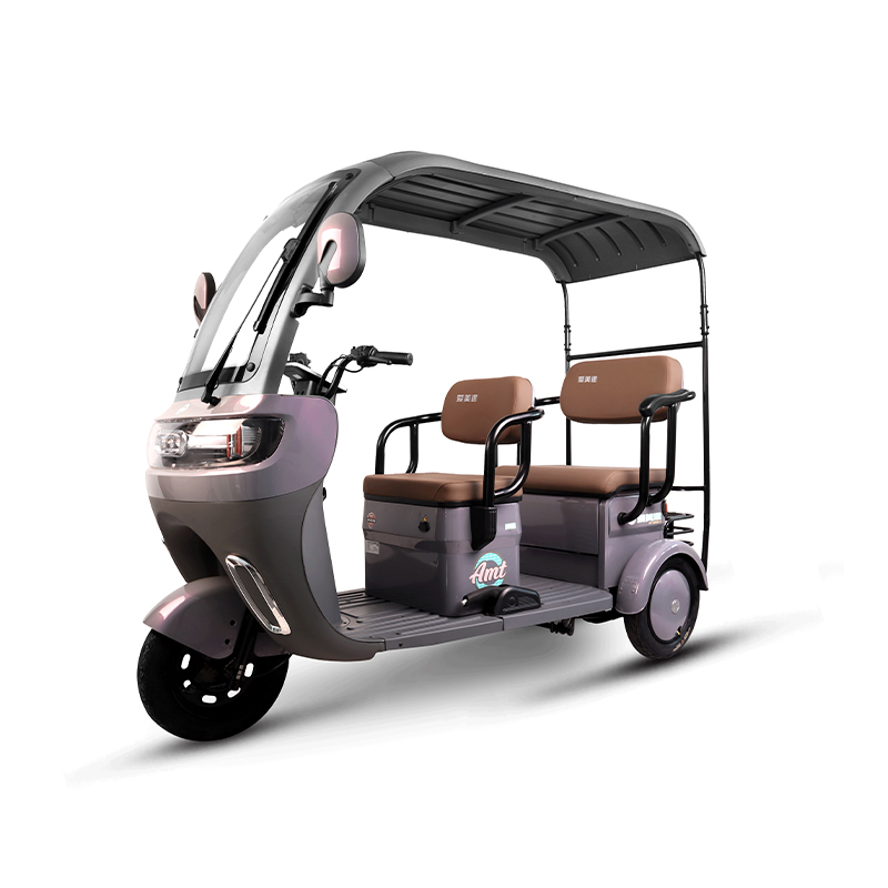 Electric Tricycle