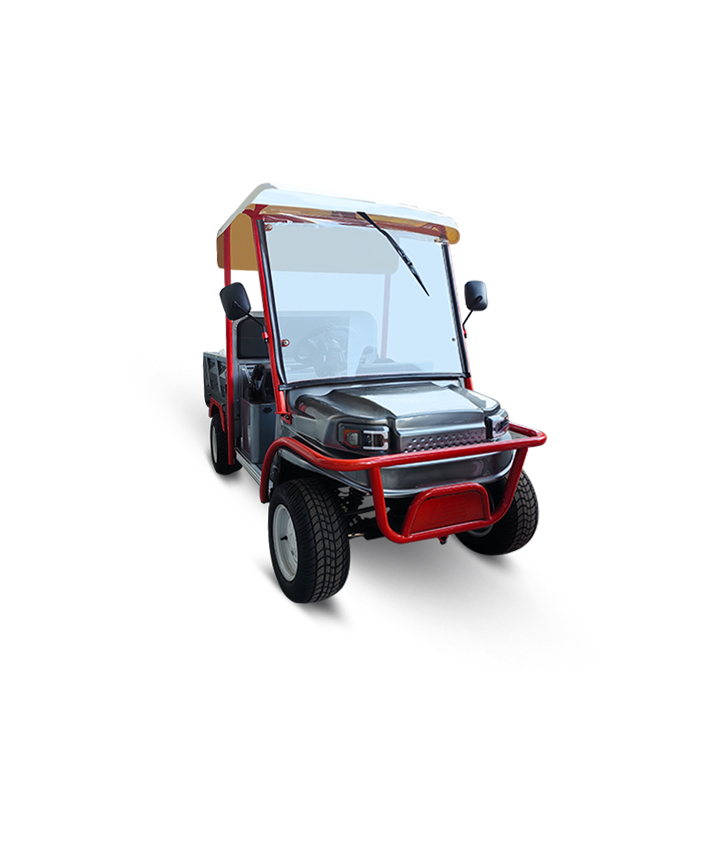 Electric Utility Golf Cart