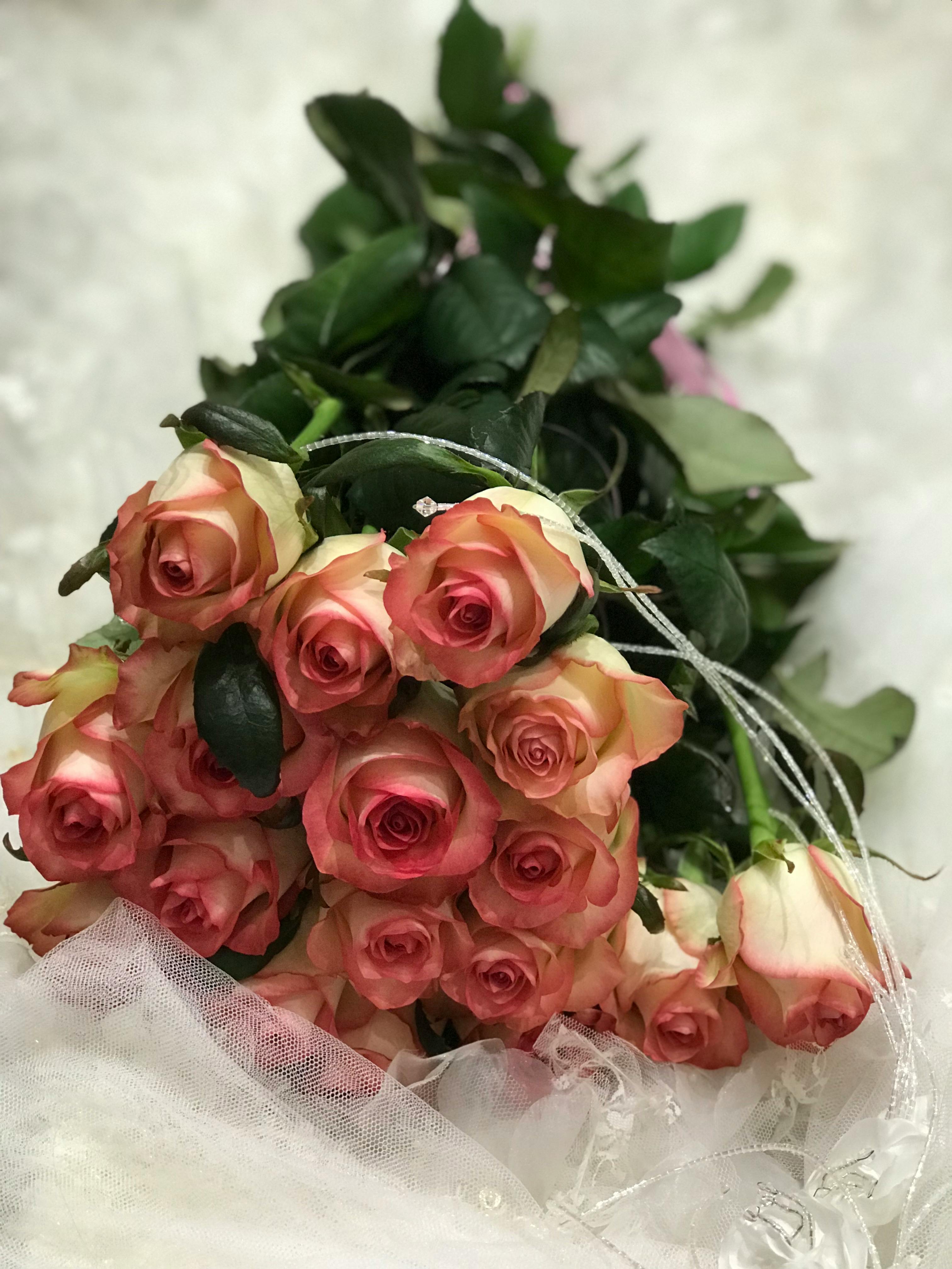 Bouquet of Pink Roses